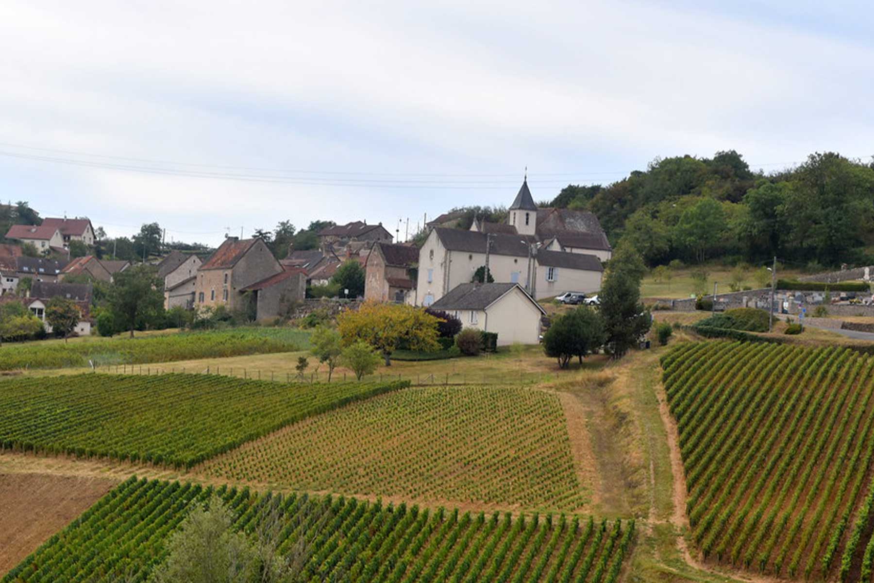 Montagny-lès-Buxy (71) – Les vignes en amphithéâtre