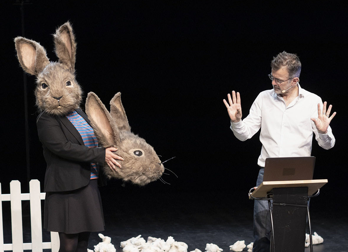 Le problème lapin - Cartographie 7